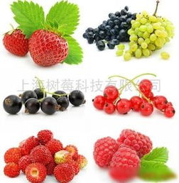 庫存 蔓越莓價(jià)格 庫存 蔓越莓廠家  